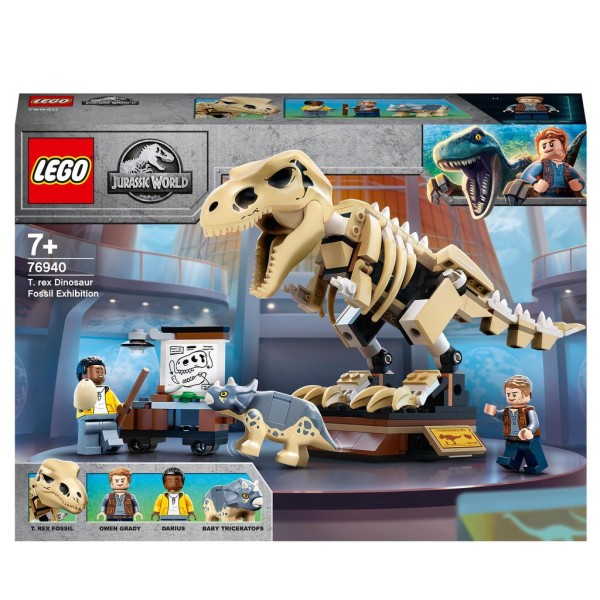 T. Rex-Skelett in der Fossilienausstellung